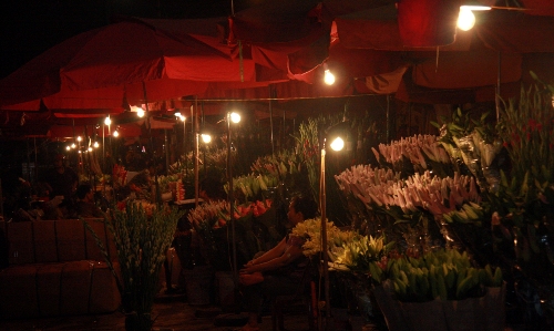 Muôn hoa đua sắc tại các chợ đêm ở hà nội