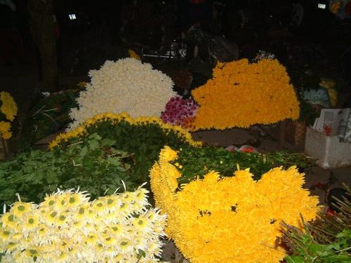 Muôn hoa đua sắc tại các chợ đêm ở hà nội