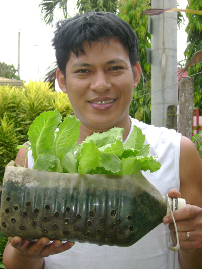 Tận dụng vỏ chai và bình nước để làm vườn rau tại nhà