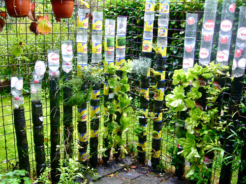Vườn treo từ trăm chai nước suối cho nhà chật