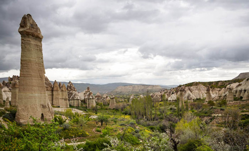 rừng dương vật ở cappadocia