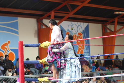 Màn đấu vật nữ truyền thống ở bolivia