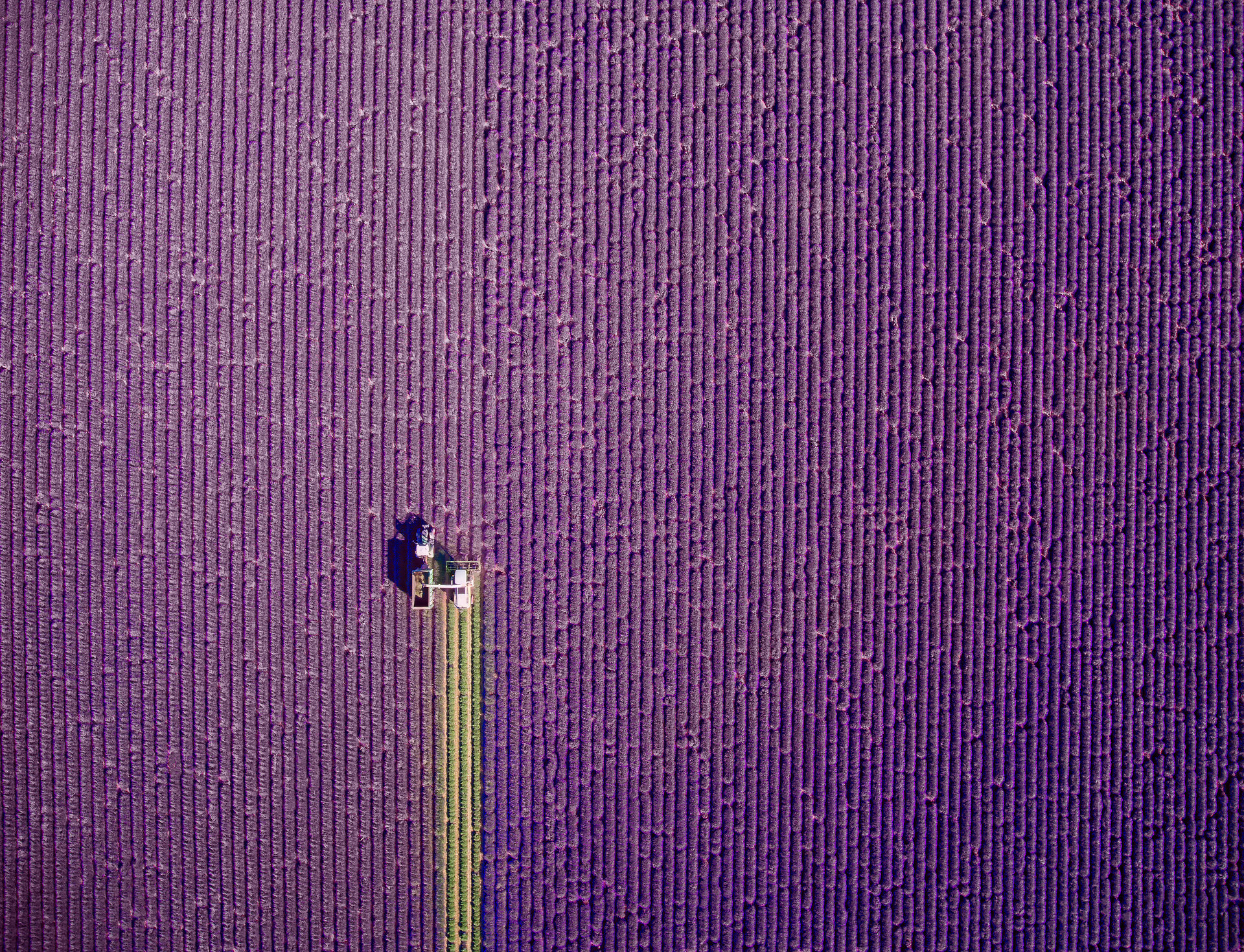 Bức ảnh chụp bằng flycam ấn tượng nhất thế giới