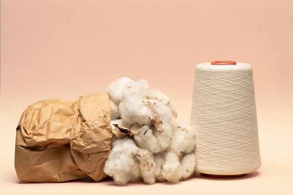 Tất tần tật thông tin về vải cotton bạn cần biết